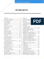 Teoria Historia (Curso) PDF