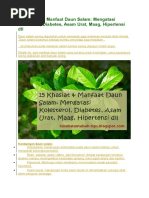 Download 15 Khasiat Daun Salam by Indry Widayani SN350021869 doc pdf