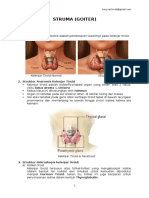 Struma (Goiter)
