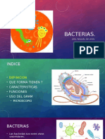 Bacterias Clase Internos
