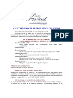 CICATRIZACIoN_TEJIDOS_DUROS_BLANDOS.pdf
