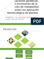 Modificaciones Genéticas Para El Incremento de La Producción