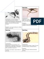 Fourstrainsofebola