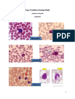 Tugas Praktikum Patologi Klinik.docx
