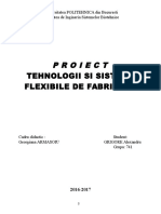 TSFF Proiect Ag