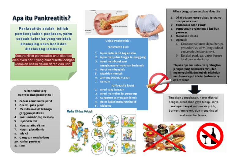 Leaflet Pankreatitis Pdf