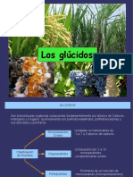 glicid.pdf