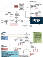 Pathway DHF New1