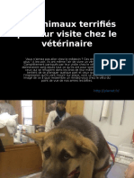 Chez Le Veterinaire11