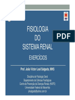 Fisiologia renal: funções, processos e controle do sistema renal