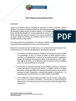 recomendaciones_estres_termico.pdf
