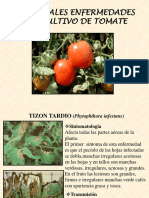 principales enfermedades del chile y tomate.pdf