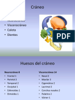 ANATOMIA Osteología cráneo.pdf