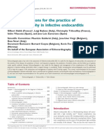 Recommendations-Endocarditis Full PDF