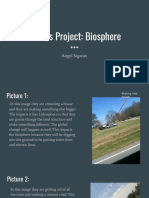 Honors Project - Biosphere