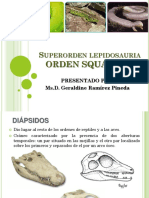 3 Orden Squamata PDF