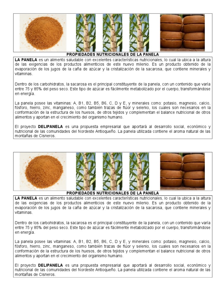 Propiedades de La Panela