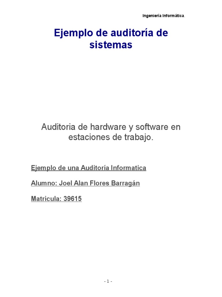 Ejemplo de Auditoria Informatica | PDF | Hardware de la computadora ...