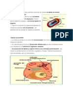 Células procariontes