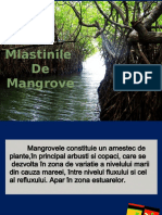 Mlastinile de Mangrove