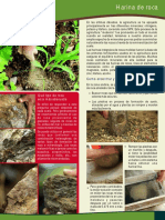 harina_de_roca_adf_2010.pdf