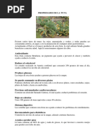 PROPIEDADES DE LA TUNA.docx
