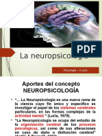 Clase Neuropsicologia