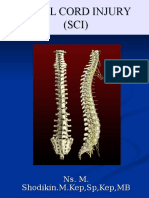 Asep Spinal Cord Injury (SCI)