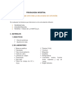 Informe de Prcticas Final