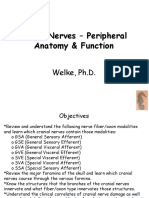 Welke.Cranial_Nerves-Peripheral_Anatomy&Function.112.pdf