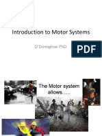 O'Donoghue.introduction to Motor Systems.112
