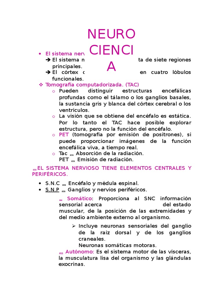 Neuro Resumen | PDF | Sinapsis | Neurona