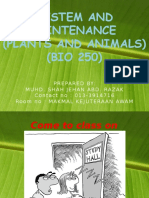 System and Maintenance (Plants and Animals) (BIO 250)