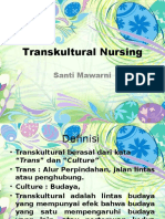 Transkultural Nursing
