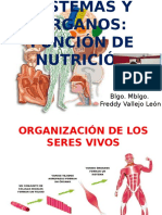 Clase 3 Organos y Sistemas Función Nutrición 2017