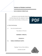 Rodriguez Huerta Fabiola 2004 PDF