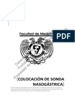 Colocación de SNG.pdf