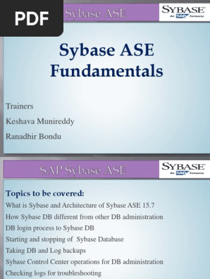 Sybase Fundamentals Databases Information Retrieval