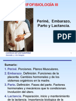 Embarazo, Parto y Lactancia MORFO III 1