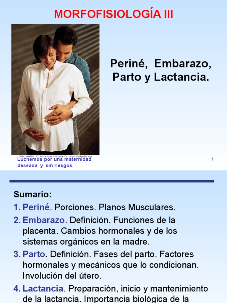 Embarazo Parto Y Lactancia Morfo Iii 1