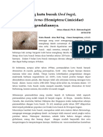 Bed-bug-or-kutu-busuk-Cimex.pdf