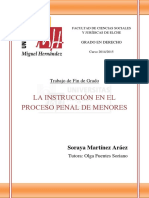 La Instruccion en El Proceso Penal de Menores