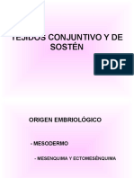 TEJIDO CONJUNTIVO