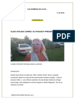 Informe Elisa Carrio