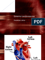 3.Cardiovasc-1-RO