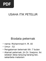 USAHA ITIK PETELUR