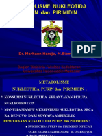 Metabolism of Nucleotides - Revised