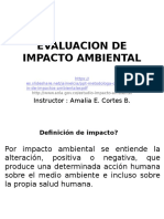 Evaluacion de Impacto Ambiental: Instructor: Amalia E. Cortes B