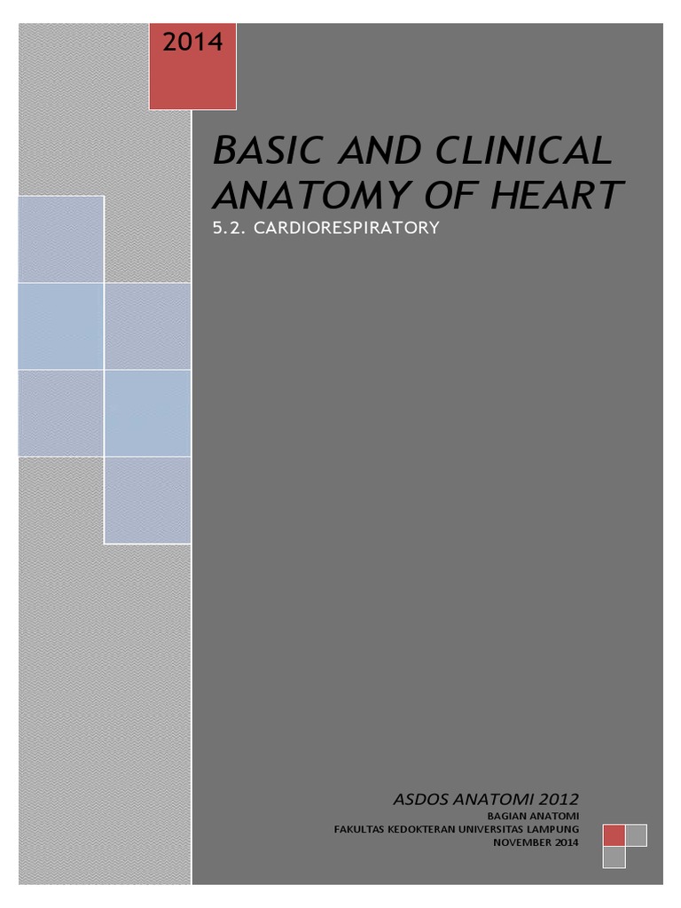 Basic and Clinical Anatomy of Heart (5.2. Cardiorespiratory) PDF | PDF