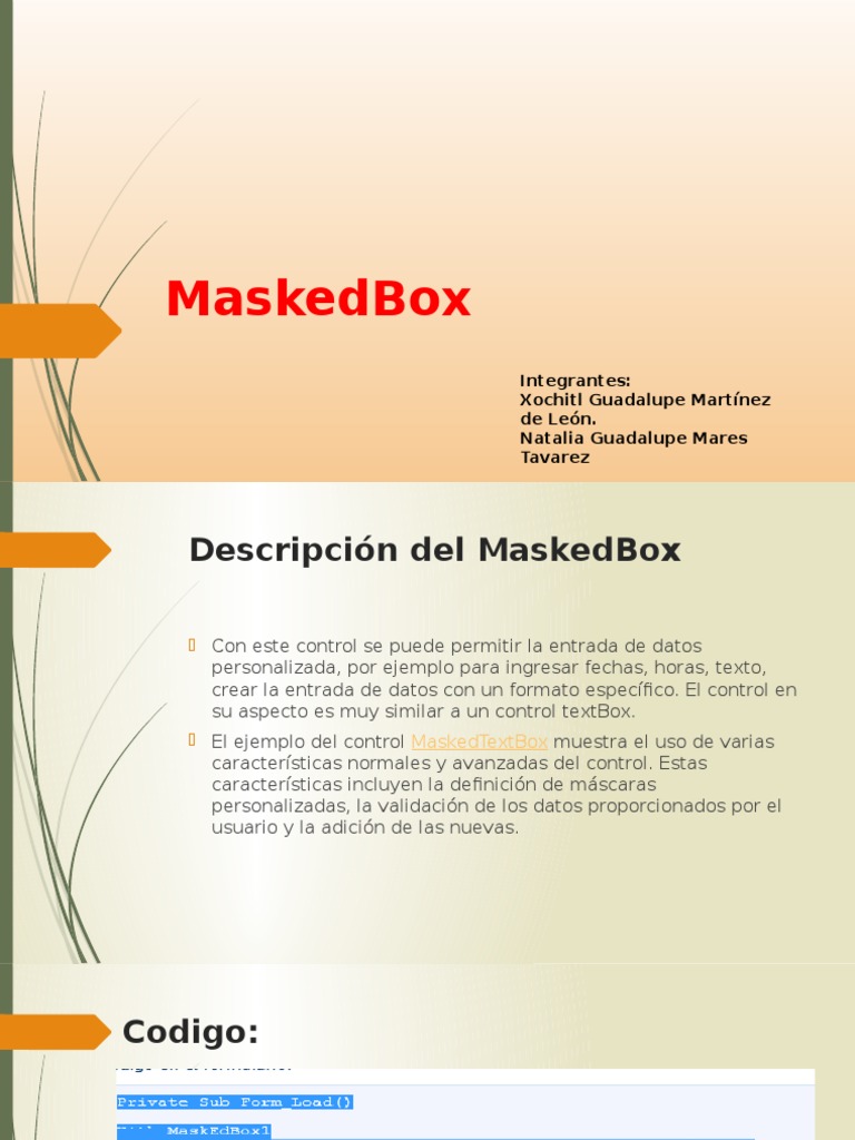 Masked Text Box PDF